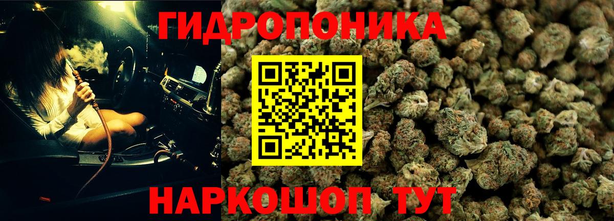 Конопля сатива Оренбург